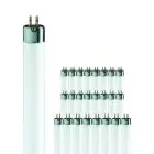 Voordeelpak 25x Philips TL Mini 8W 33-640 | 29cm - Koel Wit