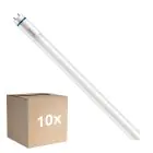 Voordeelpak 10x Philips MASTER LED T8 (EM/Mains) High Output T8 7.6W 1150lm - 840 Koel Wit | 60cm - Vervangt 18W
